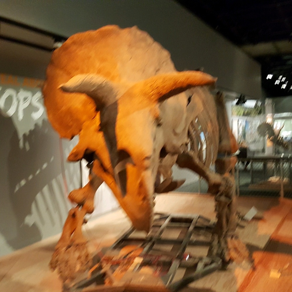 Meet your Posher, Jeff